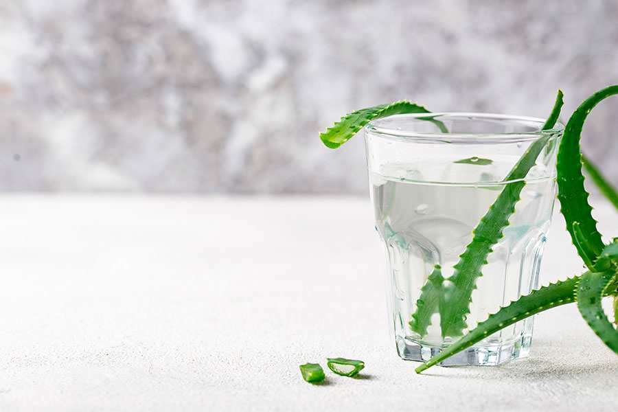 Beneficios de la bebida de Aloe Vera  Casa Perris