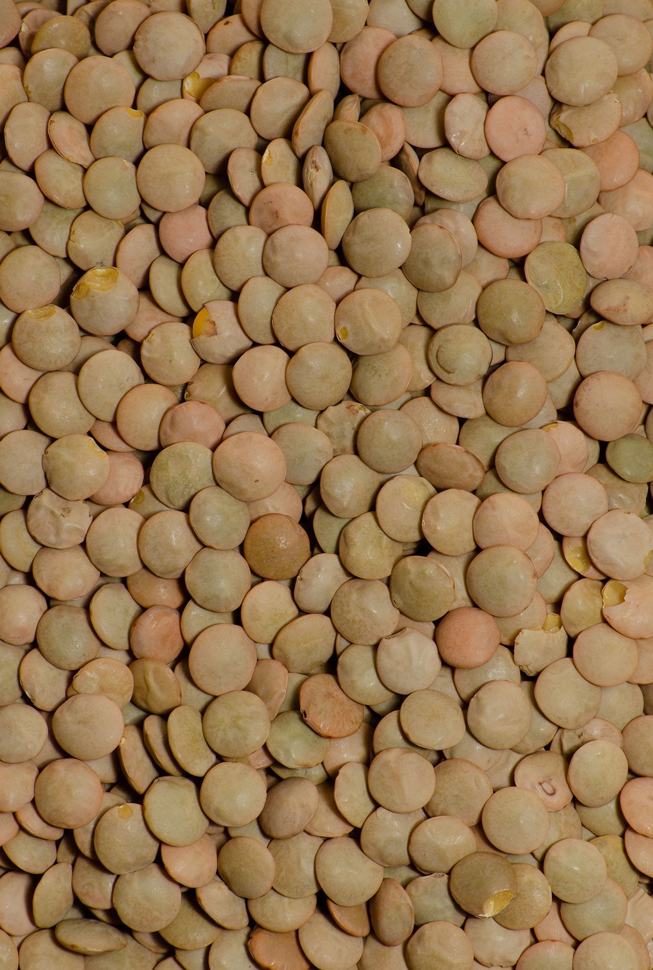 224