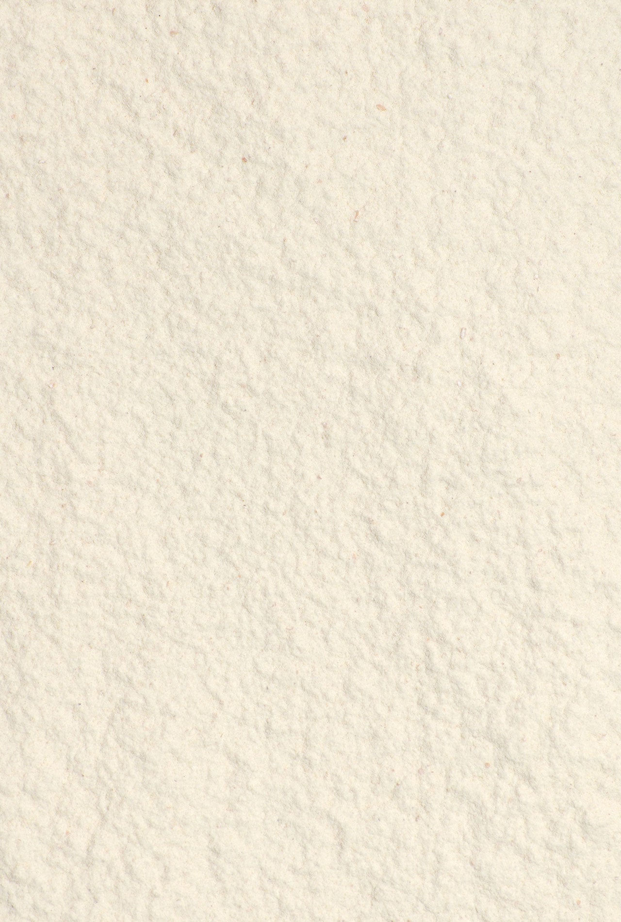 gluten de trigo detalle