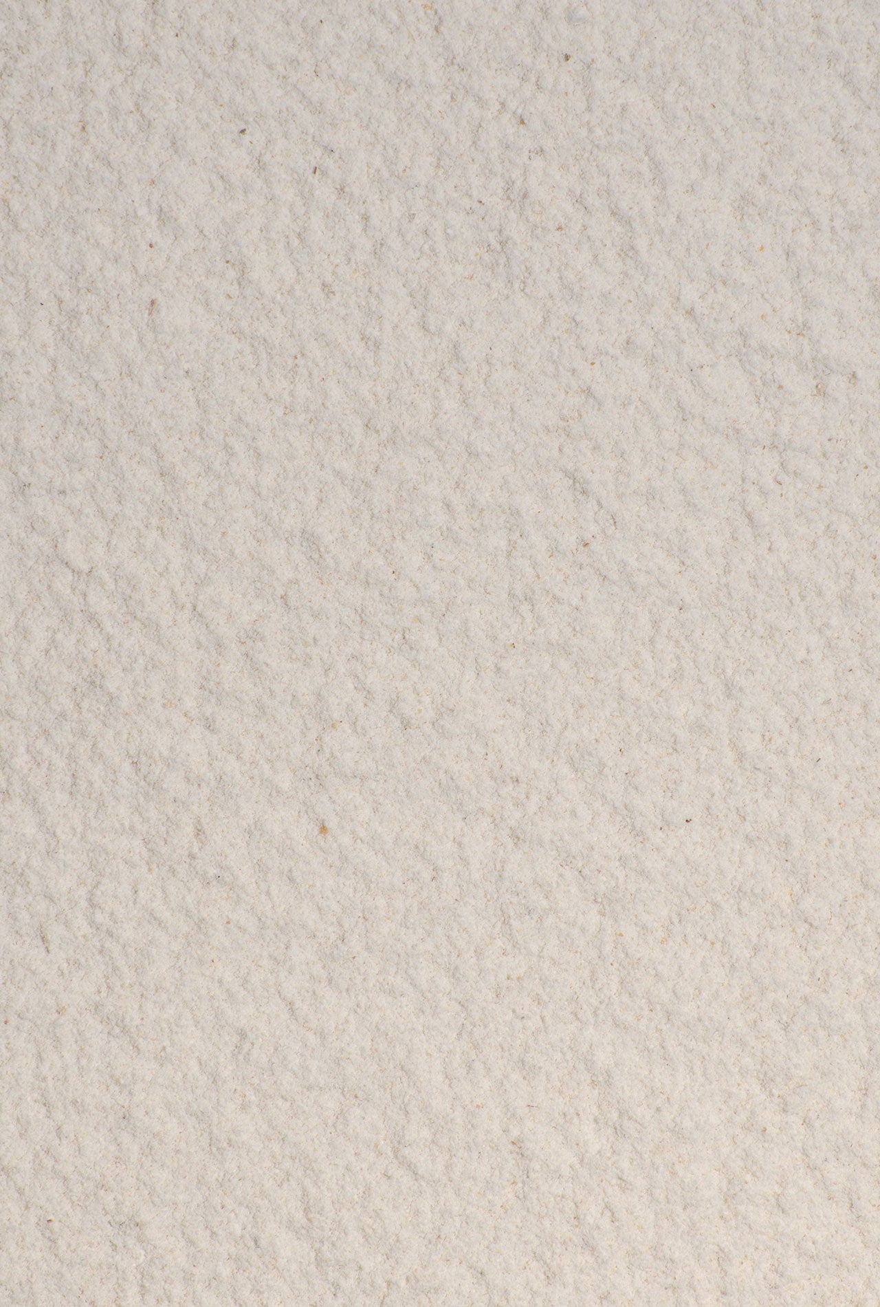 harina quinoa 2
