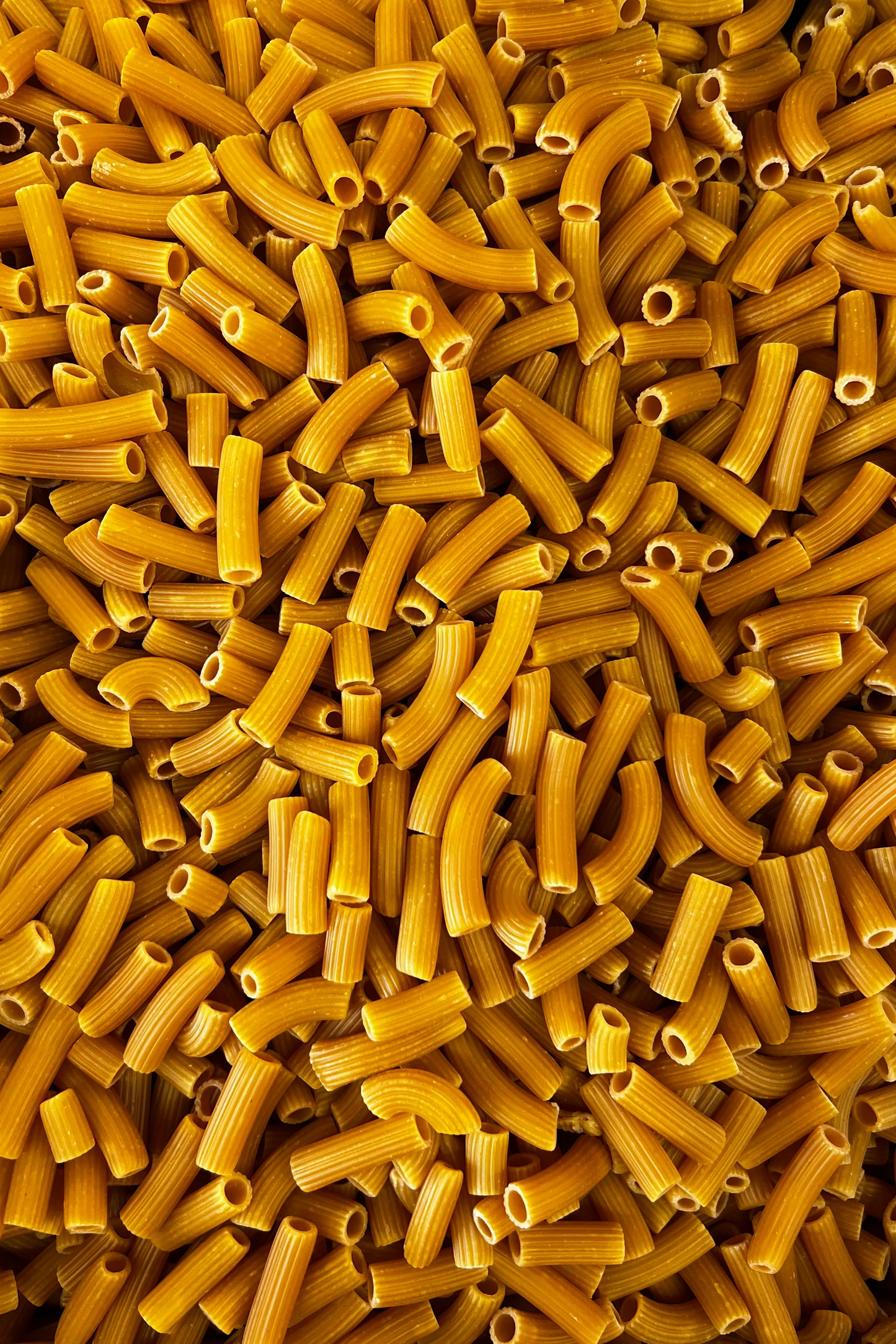 Capunti pastanaga antiga BIO