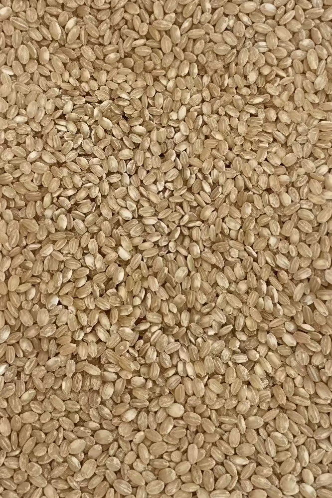 Arroz integral de Pals