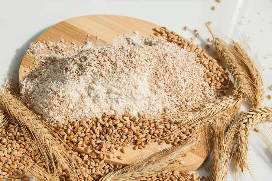 Tipos de harinas que no deben faltar en tus recetas – Casa Perris