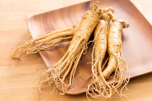 ginseng blog