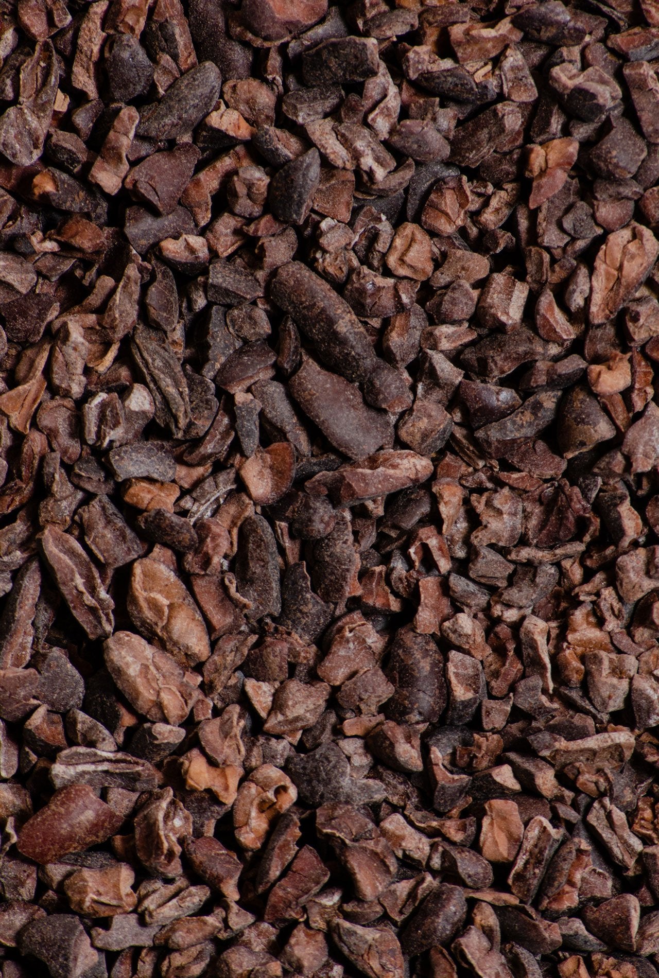 Nibs de cacao orgánico 150g