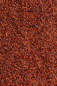 quinoa roja