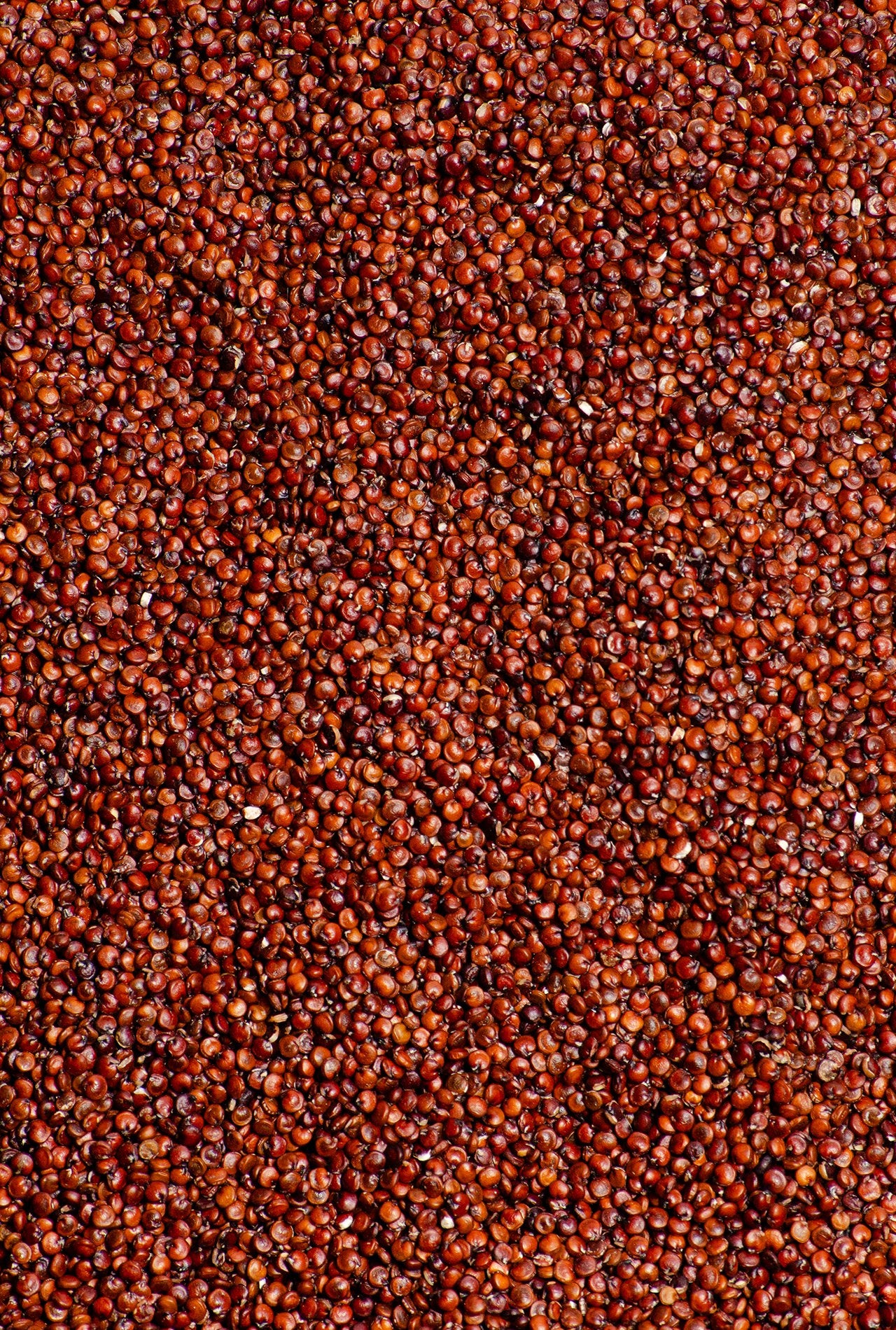 quinoa roja