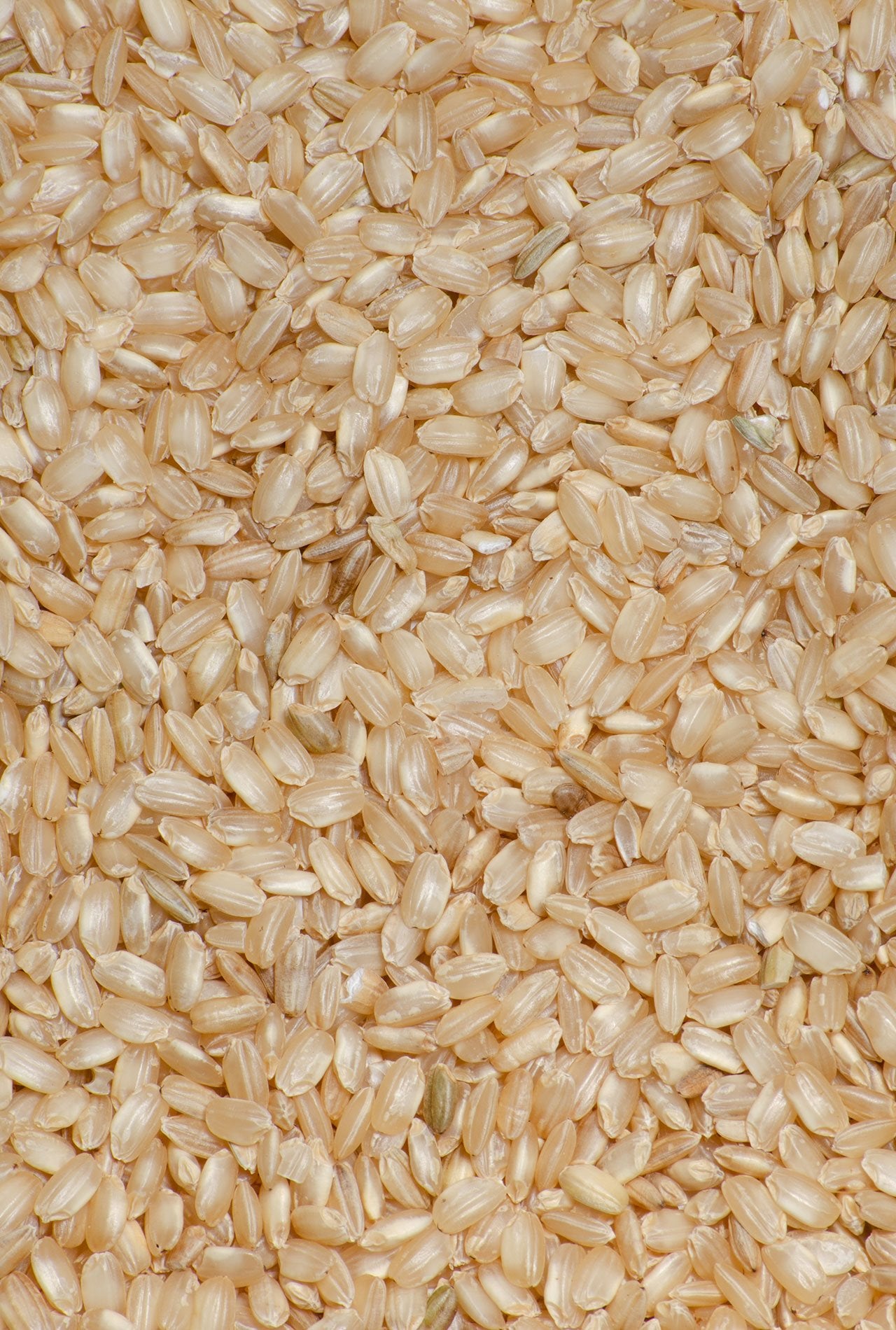 arroz integral ECO