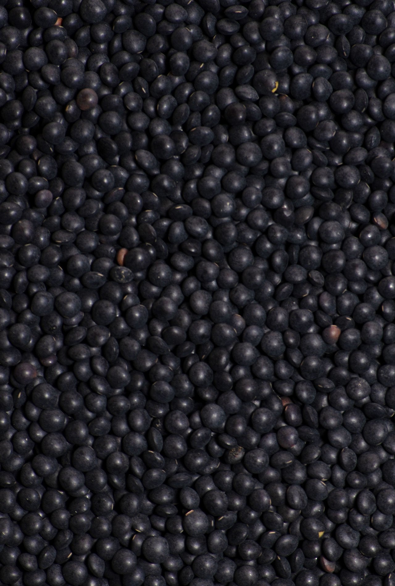 lenteja caviar