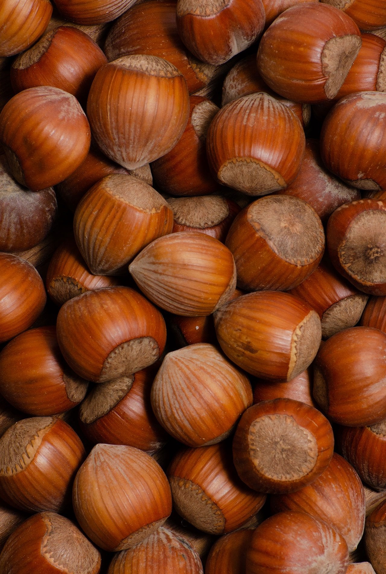 Roasted hazelnuts in shell 300g