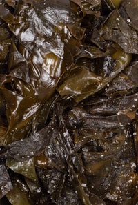 Alga Wakame fresca en sal 200g