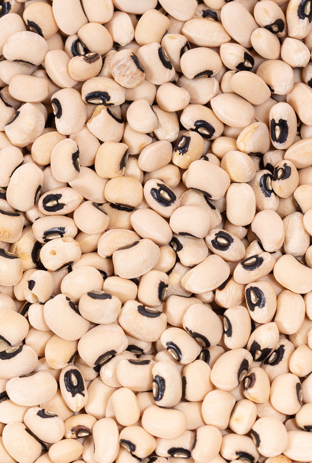 Fesolet beans 250g