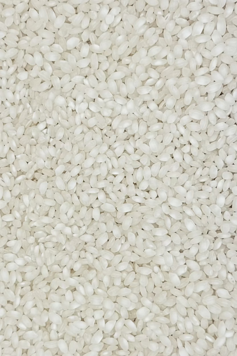 Arroz extra Delta de l'Ebre