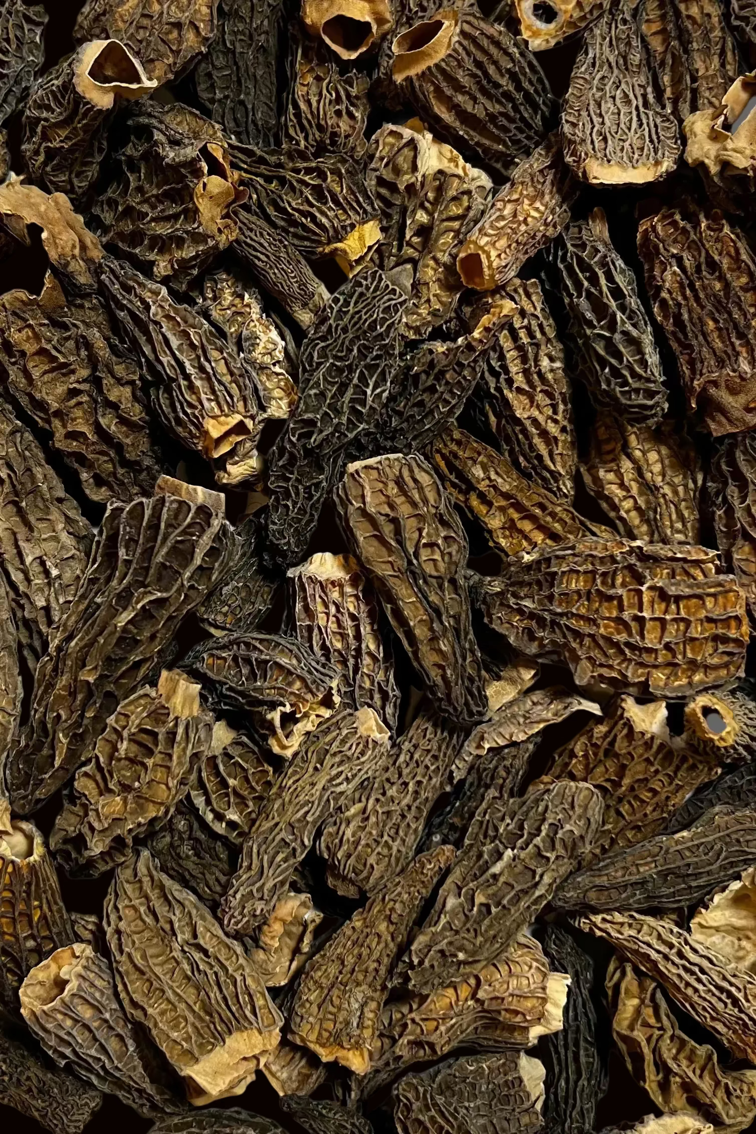 Colmenilla / Múrgola deshidratada