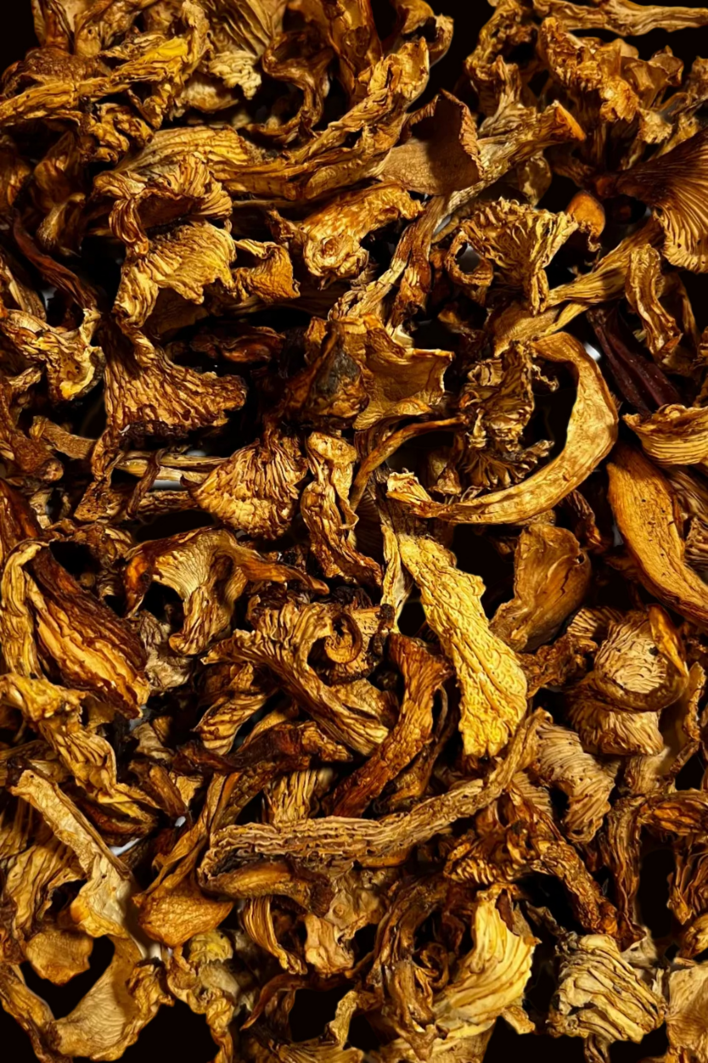 Rossinyol deshidratado