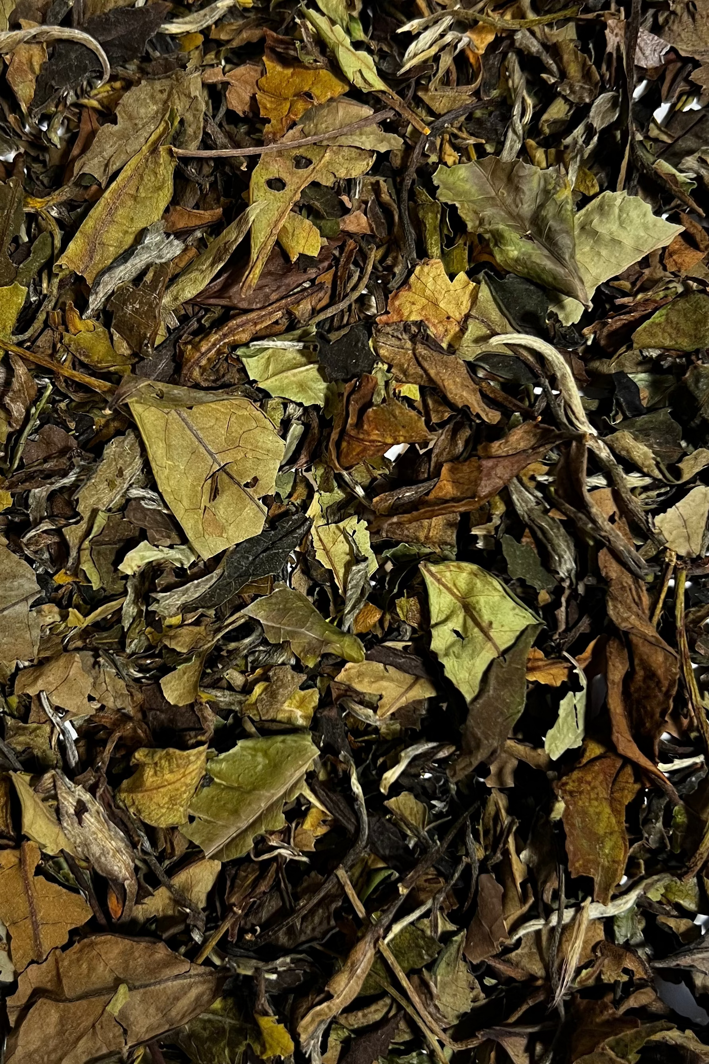 Té blanco Pai Mu Tan