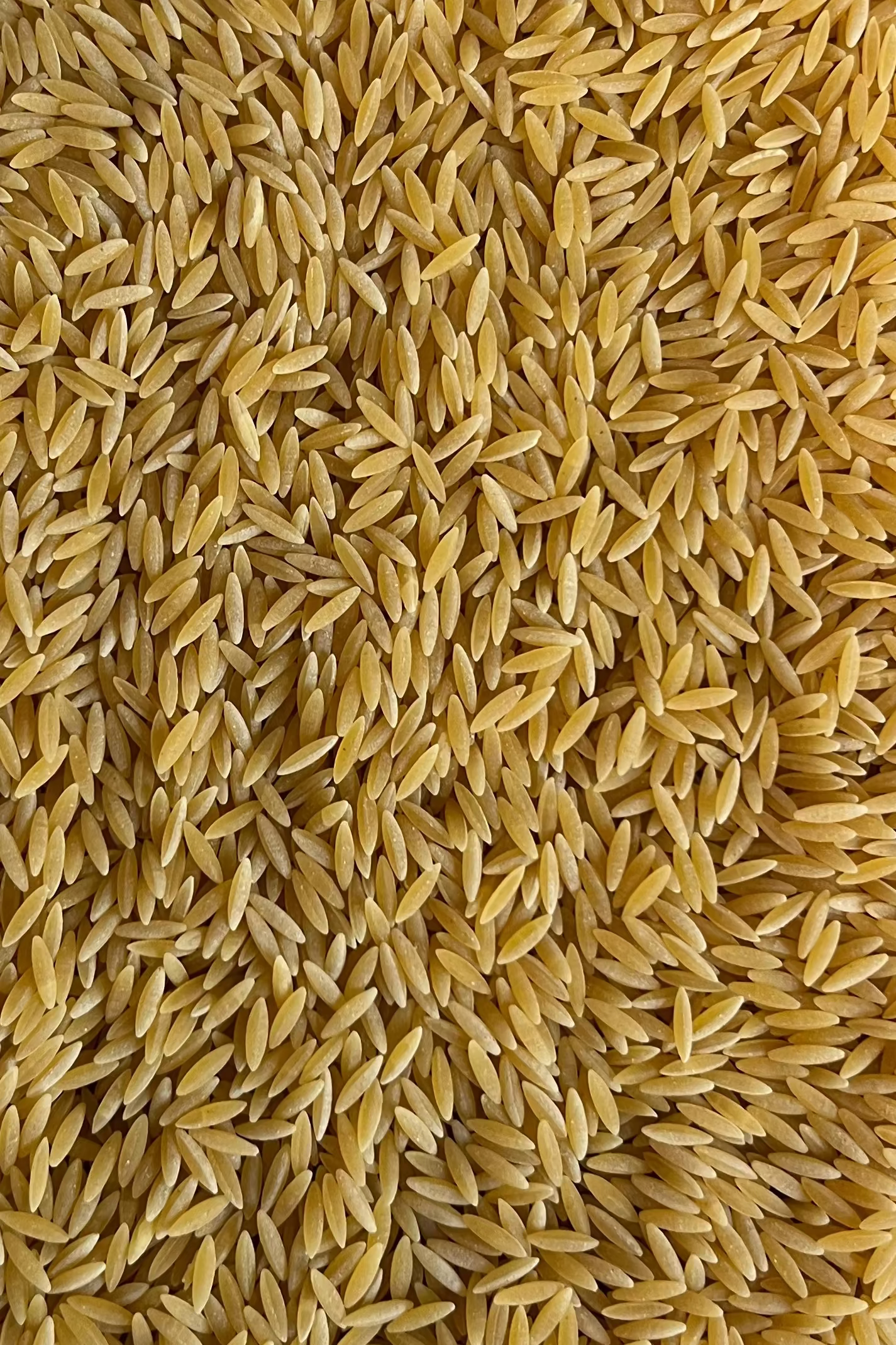 Orzo - Pasta de Sémola de Trigo