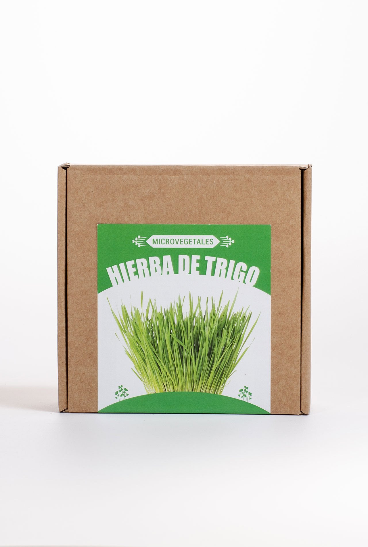 kit micro v hierba de trigo