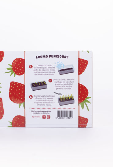 Tableta de cultivo Fresas Rojas