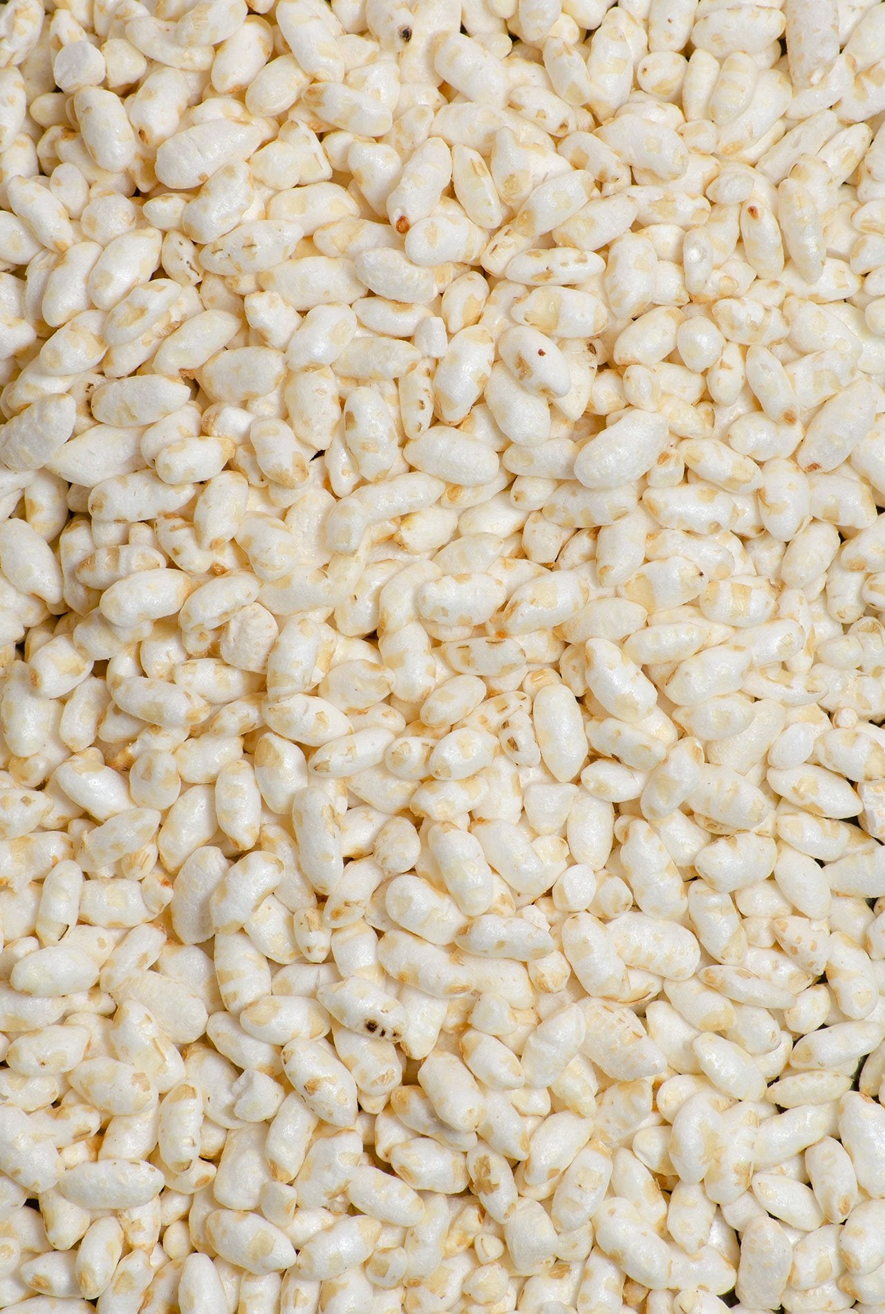 Arroz inflado ECO – Casa Perris