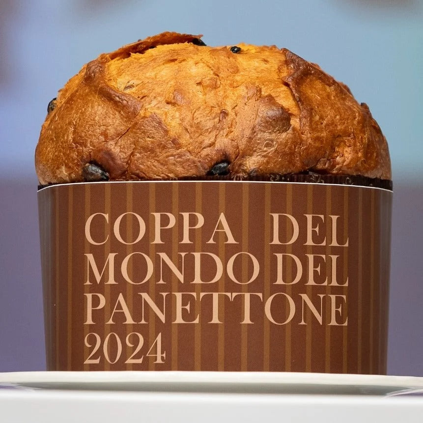 Panettone Suca'l Clásico o Chocolate 500 g