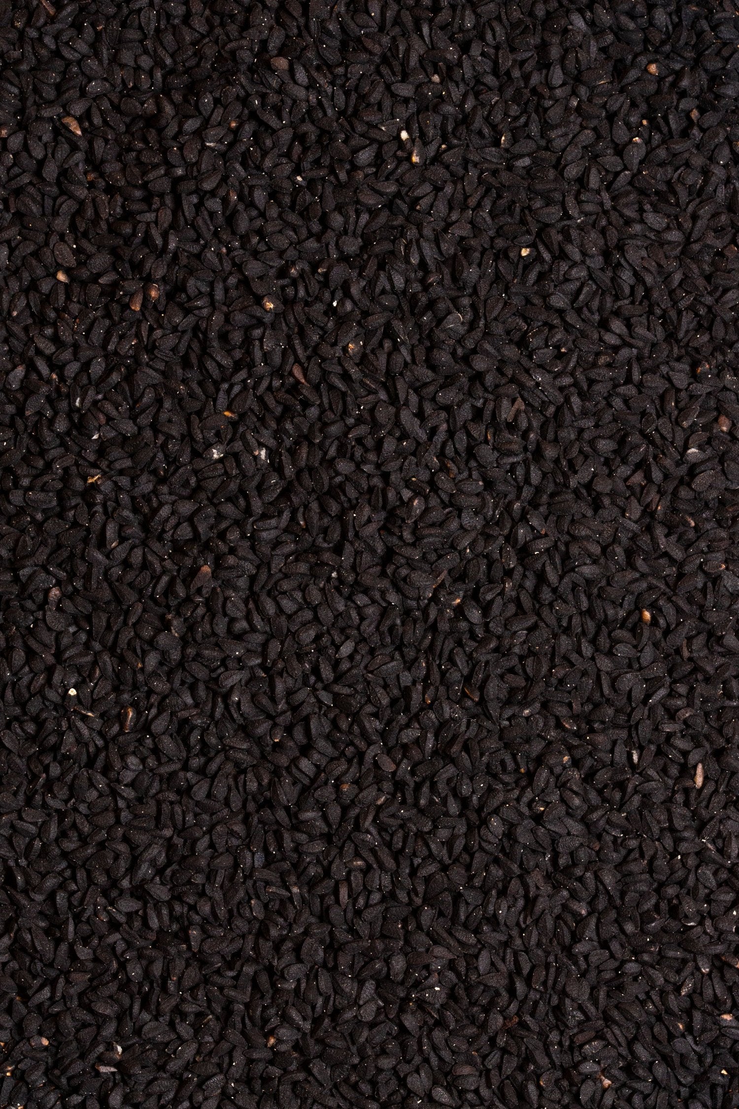 comino negro