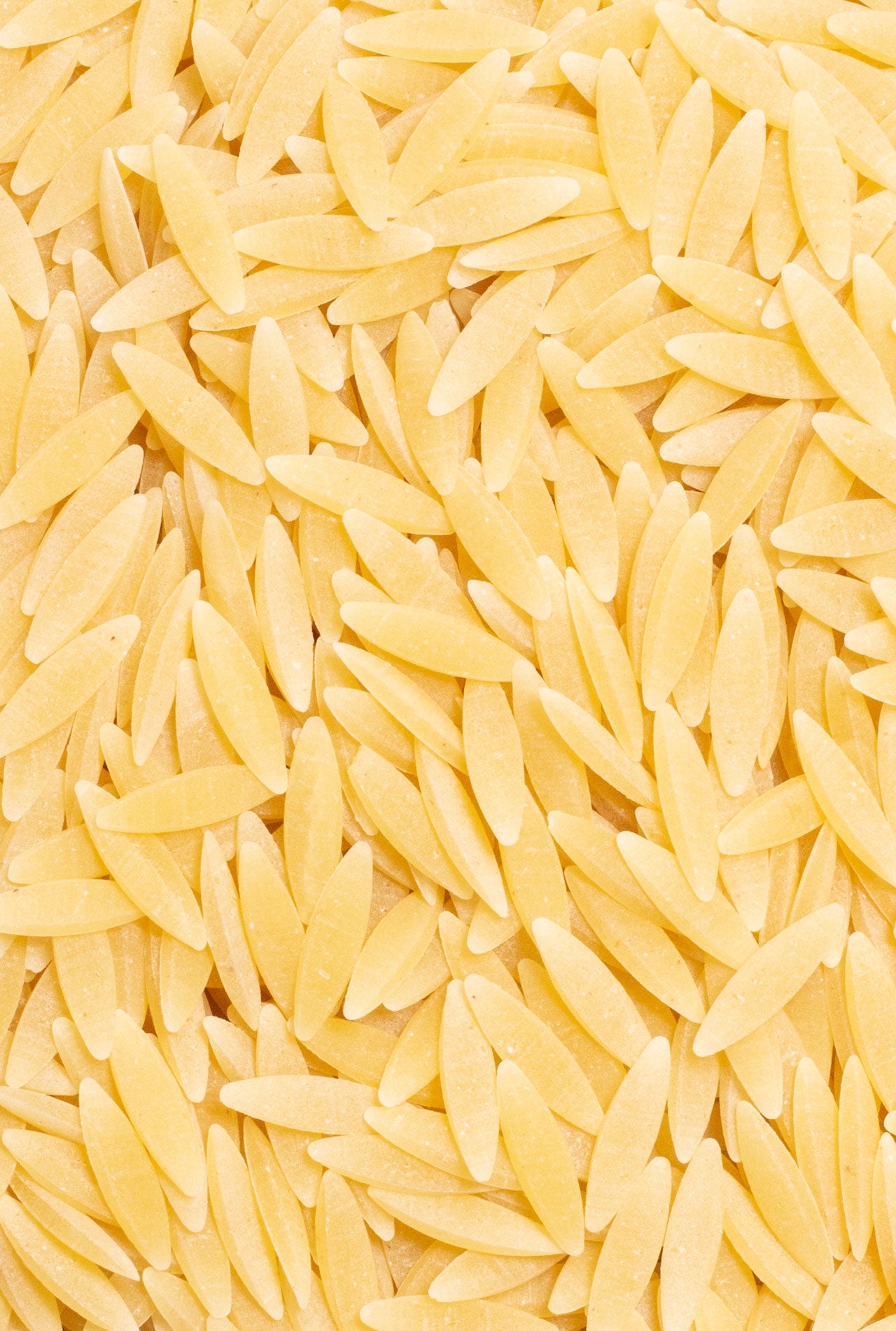 pasta orzo trigo duro bio