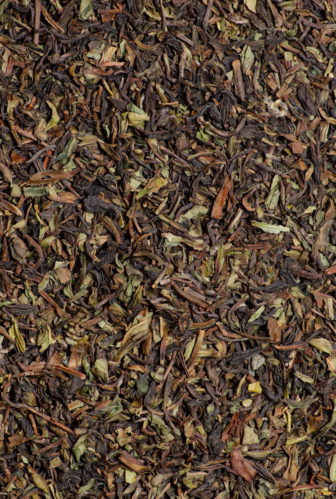 té darjeeling ECO